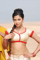 Amala Paul Latest Photos